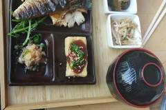 sato-smok-i-feniks-6
