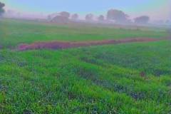 smok-i-feniks-wywiad-z-zainem-12