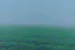 smok-i-feniks-wywiad-z-zainem-13